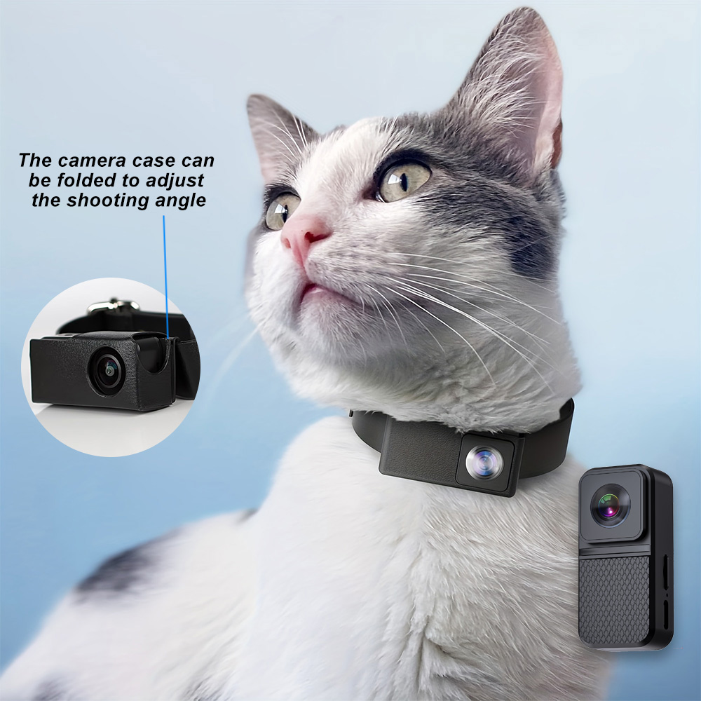 Cámaras HD 1080P para mascotas - Home Cinema Hd reseña y precio