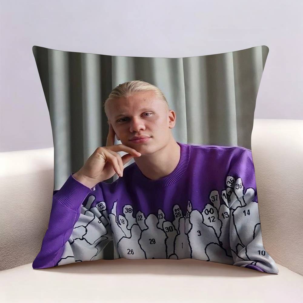 Funda de almohada con estampad - Recliner Sofa Cover reseña y precio