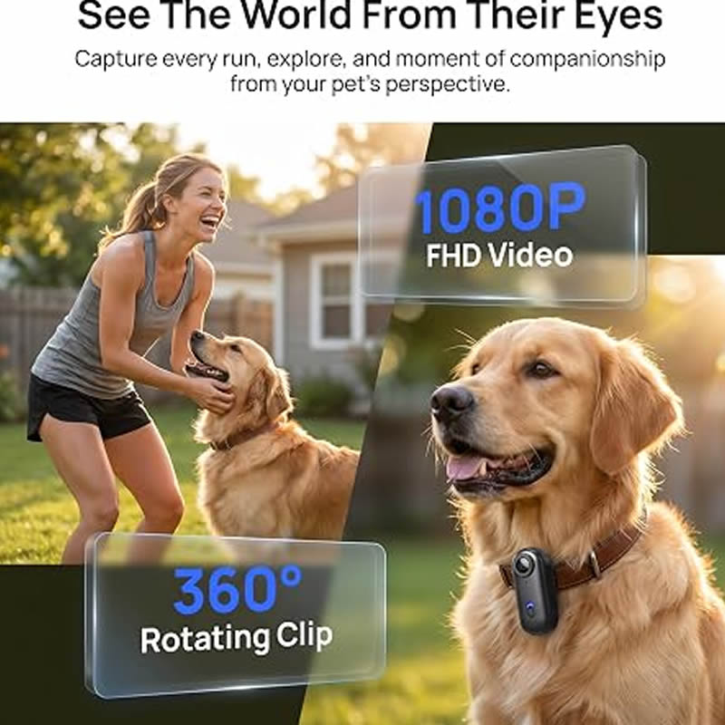 Cámaras para Mascotas 1080P HD - Home Cinema Hd reseña y precio