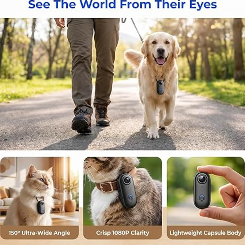 Cámaras para Mascotas 1080P HD - Home Cinema Hd reseña y precio
