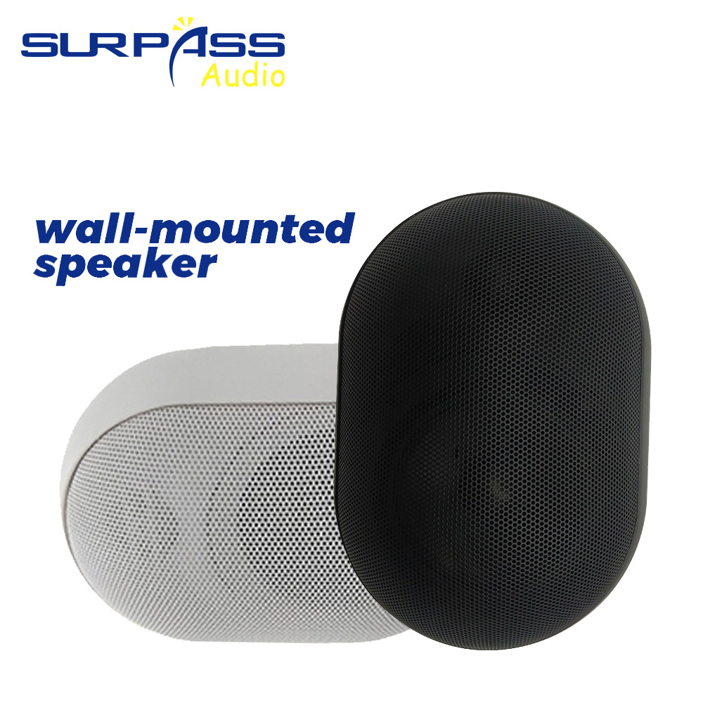 Altavoz de pared de 30W, resis - Wall Mount Speaker reseña y precio