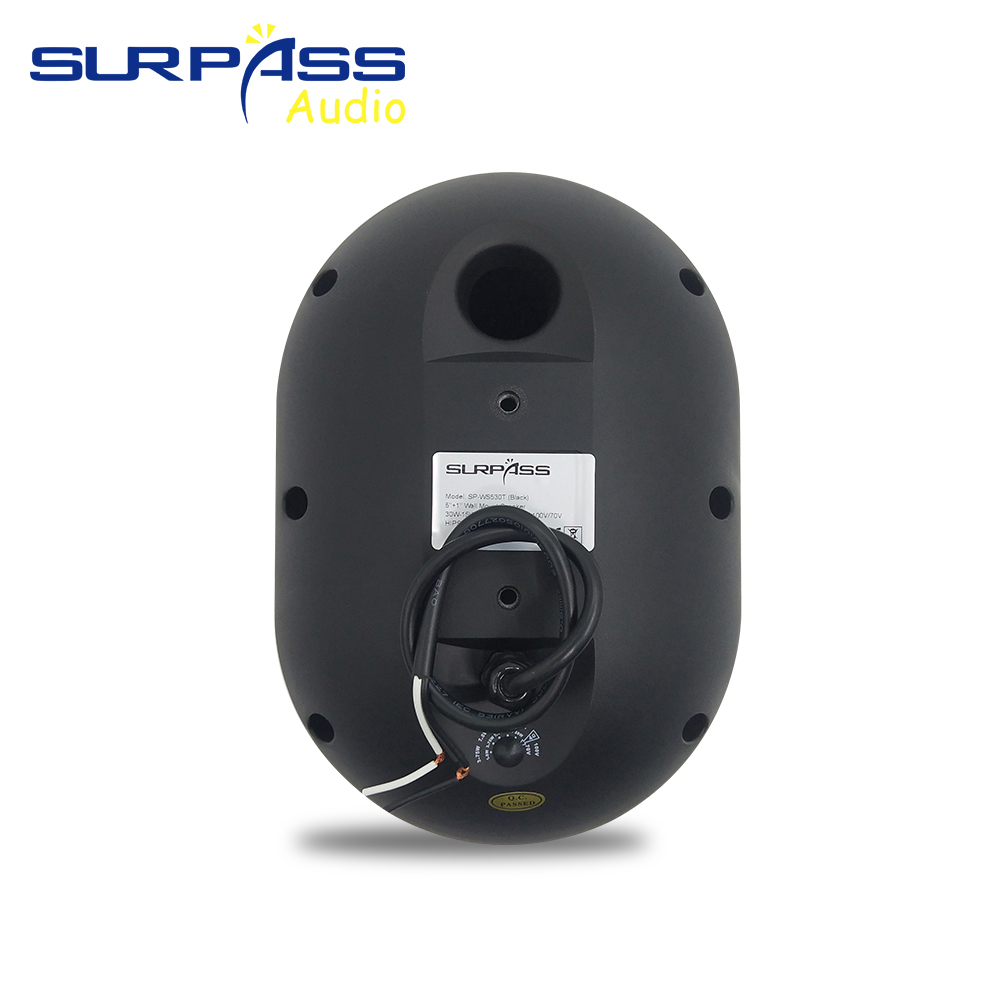 Altavoz de pared de 30W, resis - Wall Mount Speaker reseña y precio